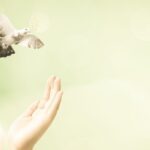 手放すと入ってくるスピリチュアルの仕組み