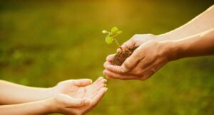 ワンネス第3段階与える喜びの世界