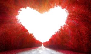 ワンネス第4段階美しい愛の視点の世界