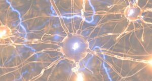 潜在意識の神経回路