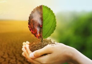 インナーチャイルドが癒されることで潜在意識が変化する様子