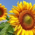 今ここを生きるとは?スピリチュアル活用法