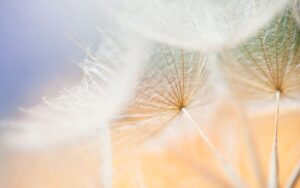 魂が覚醒する時のサイン