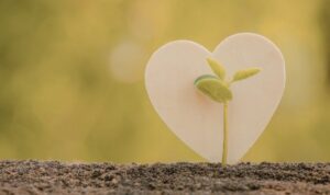 人生の意味は見つけるよりも育てるもの